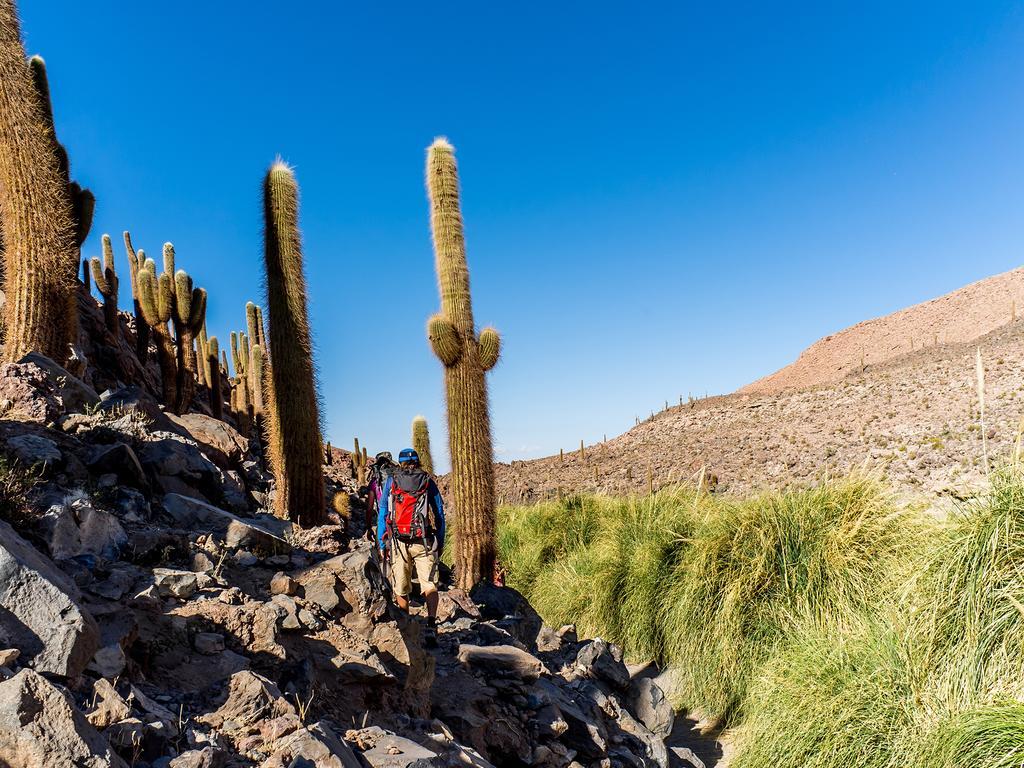 Noi Casa Atacama Hotel ซานเปโดร เด อาตากามา ภายนอก รูปภาพ